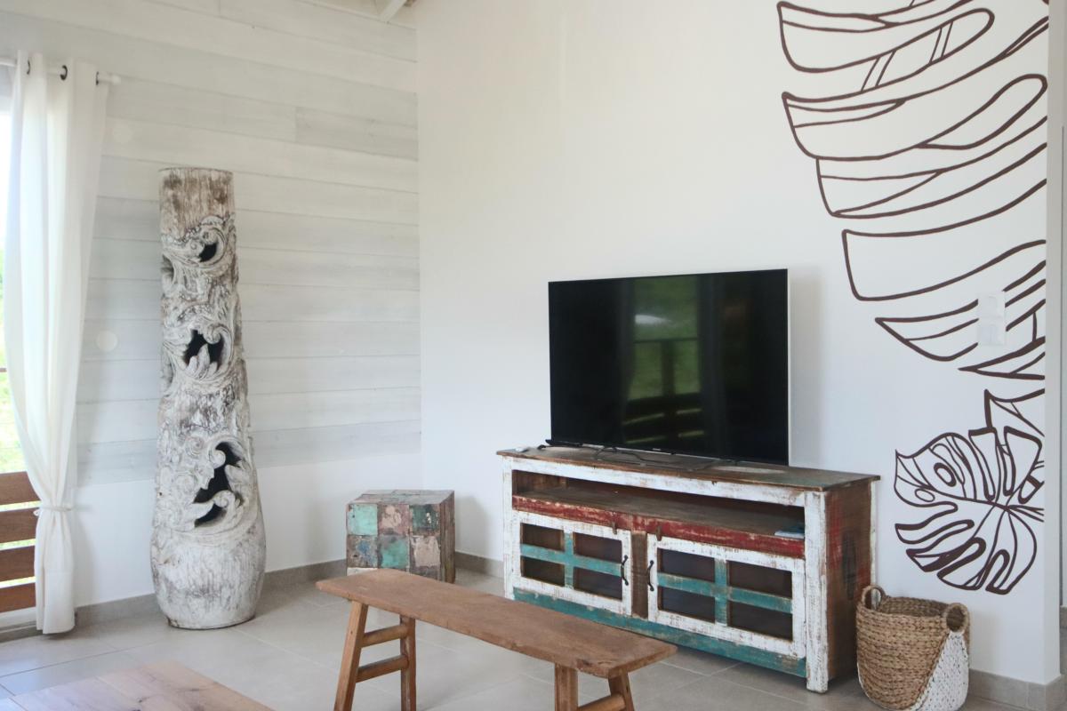 9 location villa martinique le diamant_télé